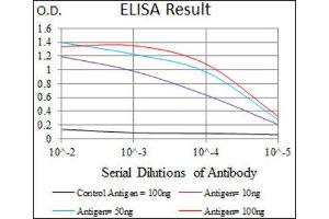ELISA image for anti-Matrix Metalloproteinase 2 (MMP2) (AA 242-396) antibody (ABIN1844833) (MMP2 anticorps  (AA 242-396))