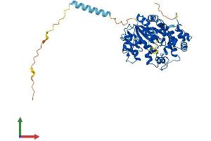 AlphaFold protein structure predicition of Human Recombinant CHST5 Protein, UniprotID Q9GZS9