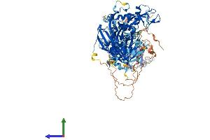 AlphaFold protein structure predicition of Human Recombinant USP11 Protein, UniprotID P51784