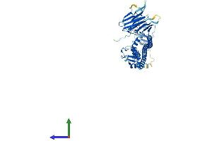 AlphaFold protein structure predicition of Human Recombinant TRIM35 Protein, UniprotID Q9UPQ4