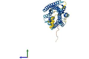 AlphaFold protein structure predicition of Human Recombinant GNRHR Protein, UniprotID P30968