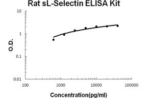 Rat sL-Selectin Accusignal ELISA Kit Rat sL-Selectin AccuSignal ELISA Kit standard curve. (sL-Selectin Kit ELISA)