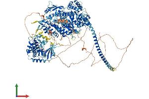 AlphaFold protein structure predicition of Mouse Recombinant Myo3b Protein, UniprotID Q1EG27