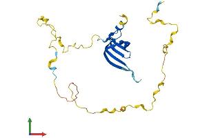 AlphaFold protein structure predicition of Human Recombinant SNRPB Protein, UniprotID P14678