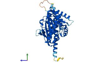 AlphaFold protein structure predicition of Human Recombinant LPGAT1 Protein, UniprotID Q92604