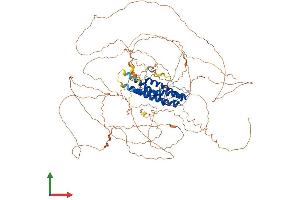 AlphaFold protein structure predicition of Human Recombinant MEIOC Protein, UniprotID A2RUB1 (Gm1564 (AA 1-952) protein (His tag))