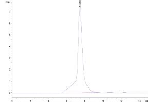 The purity of Mouse 4-1BB is greater than 95 % as determined by SEC-HPLC.