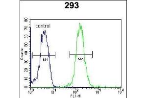 ZBTB10 Antibody (C-term) (ABIN654530 and ABIN2844249) flow cytometric analysis of 293 cells (right histogram) compared to a negative control cell (left histogram). (ZBTB10 anticorps  (C-Term))