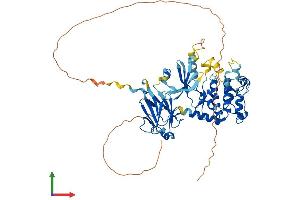 AlphaFold protein structure predicition of Human Recombinant CHEK2 Protein, UniprotID O96017