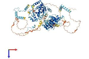 AlphaFold protein structure predicition of Mouse Recombinant Ddx54 Protein, UniprotID Q8K4L0