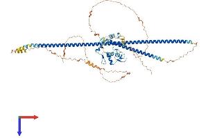 AlphaFold protein structure predicition of Human Recombinant ZNF853 Protein, UniprotID P0CG23