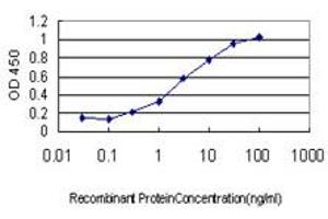 Detection limit for recombinant GST tagged IFI16 is approximately 0.