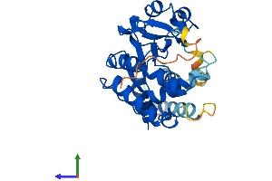 AlphaFold protein structure predicition of Human Recombinant SULT4A1 Protein, UniprotID Q9BR01