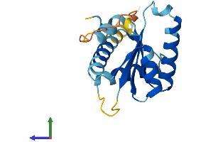 AlphaFold protein structure predicition of Mouse Recombinant Gadd45a Protein, UniprotID P48316