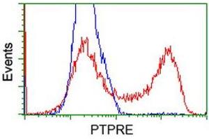 Flow Cytometry (FACS) image for anti-Protein tyrosine Phosphatase, Receptor Type, E (PTPRE) antibody (ABIN1500507) (PTPRE anticorps)