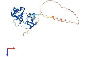 AlphaFold protein structure predicition of Human Recombinant SNRNP35 Protein, UniprotID Q16560