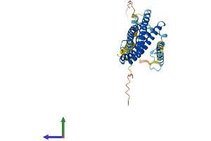 AlphaFold protein structure predicition of Mouse Recombinant Scamp2 Protein, UniprotID Q9ERN0