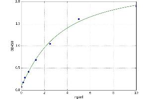 Regenerating Islet-Derived 3 beta (REG3B) ELISA Kit