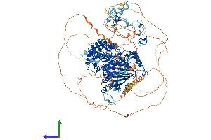 AlphaFold protein structure predicition of Mouse Recombinant Kdm2b Protein, UniprotID Q6P1G2
