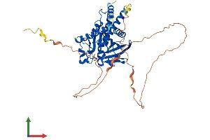 AlphaFold protein structure predicition of Human Recombinant PTPN18 Protein, UniprotID Q99952