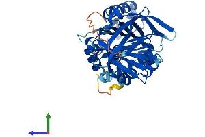 AlphaFold protein structure predicition of Human Recombinant SERPINB6 Protein, UniprotID P35237