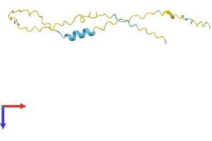 AlphaFold protein structure predicition of Human Recombinant XAGE2 Protein, UniprotID Q96GT9