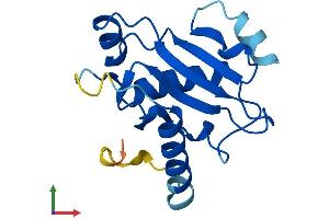 AlphaFold protein structure predicition of Human Recombinant UBE2QL1 Protein, UniprotID A1L167