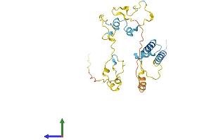 AlphaFold protein structure predicition of Mouse Recombinant Myoz2 Protein, UniprotID Q9JJW5