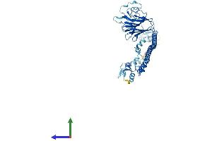 AlphaFold protein structure predicition of Mouse Recombinant Trim62 Protein, UniprotID Q80V85
