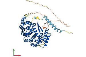 AlphaFold protein structure predicition of Mouse Recombinant Ifrd1 Protein, UniprotID P19182