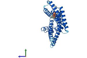 AlphaFold protein structure predicition of Mouse Recombinant Sfn Protein, UniprotID O70456