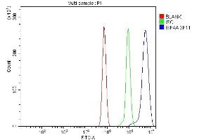 Flow Cytometry analysis of RH35 cells using anti-EIF4A1 antibody (ABIN7603144). (EIF4A1 anticorps  (N-Term))