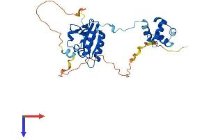 AlphaFold protein structure predicition of Human Recombinant ERCC1 Protein, UniprotID P07992