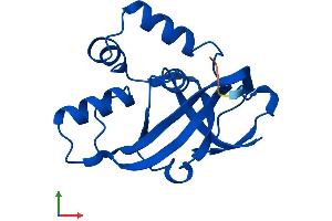 AlphaFold protein structure predicition of Human Recombinant EOLA1 Protein, UniprotID Q8TE69