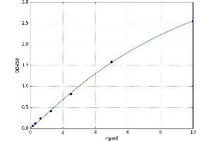 Chemokine (C-X-C Motif) Receptor 1 (CXCR1) ELISA Kit