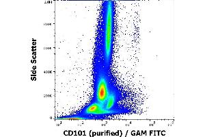 Flow cytometry surface staining pattern of human peripheral whole blood stained using anti-human CD101 (BB27) purified antibody (concentration in sample 0,56 μg/mL, GAM FITC). (CD101 anticorps)