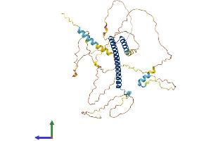 AlphaFold protein structure predicition of Human Recombinant NFIL3 Protein, UniprotID Q16649
