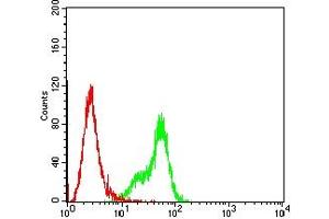Flow cytometric analysis of Hela cells using GSTP1 mouse mAb (green) and negative control (red).