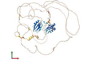 AlphaFold protein structure predicition of Human Recombinant RBM14 Protein, UniprotID Q96PK6