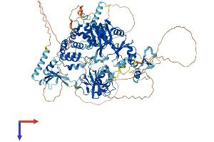 AlphaFold protein structure predicition of Mouse Recombinant Lig3 Protein, UniprotID P97386