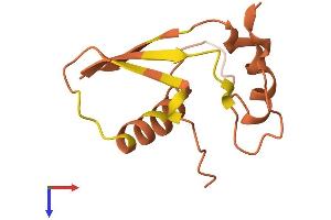 AlphaFold protein structure predicition of Human Recombinant CASC2 Protein, UniprotID Q6XLA1