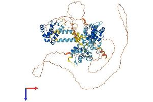 AlphaFold protein structure predicition of Mouse Recombinant Bend3 Protein, UniprotID Q6PAL0