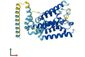 AlphaFold protein structure predicition of Human Recombinant RHBDL2 Protein, UniprotID Q9NX52