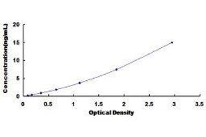 Typical standard curve (HSPD1 Kit ELISA)