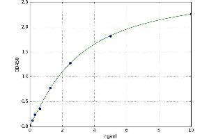 A typical standard curve (MSRB2 Kit ELISA)
