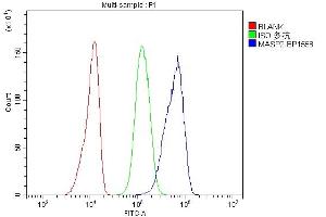 Flow Cytometry analysis of A431 cells using anti-MASP2 antibody (ABIN7602762). (MASP2 anticorps  (C-Term))