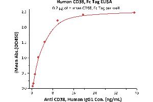 Immobilized Human CD38, Fc Tag (ABIN5674621,ABIN6253673) at 2 μg/mL (100 μL/well) can bind A, Human IgG1 with a linear range of 0. (CD38 Protein (AA 43-300) (Fc Tag))