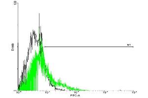 FACS analysis of negative control 293 cells (Black) and GPR77 expressing 293 cells (Green) using GPR77 purified MaxPab mouse polyclonal antibody. (GPR77 anticorps  (AA 1-337))