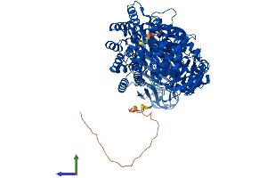 AlphaFold protein structure predicition of Mouse Recombinant Npepps Protein, UniprotID Q11011