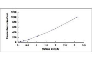 Typical standard curve (TNFRSF4 Kit ELISA)